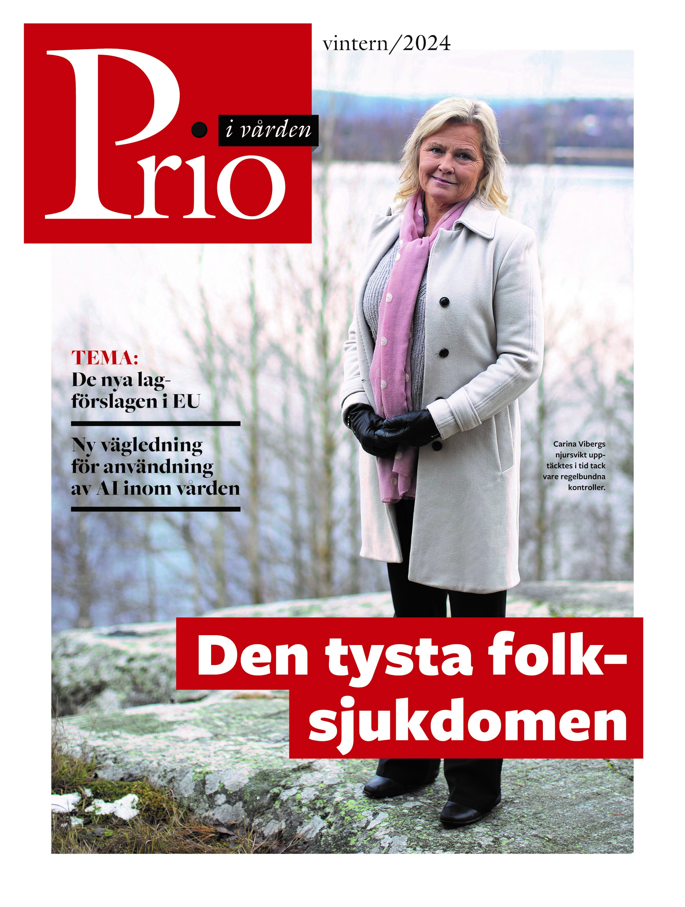 Prio vintern 2024 sida