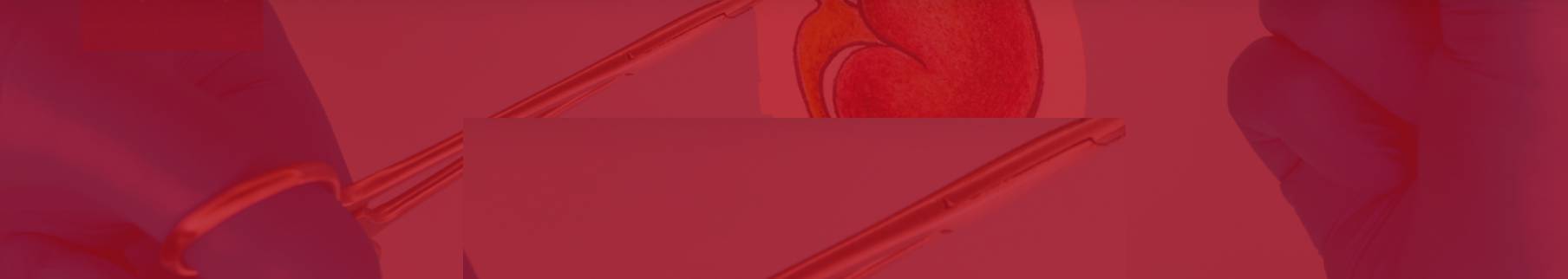 Njurförbundet Njurförbundet