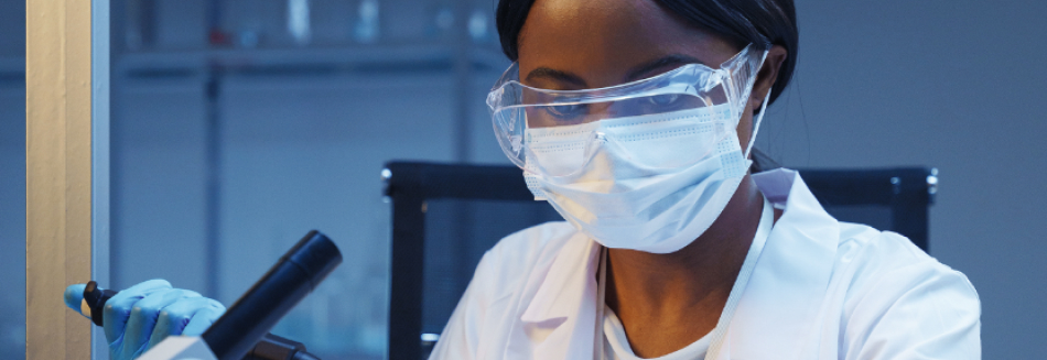 Ny-databas Ny-databas